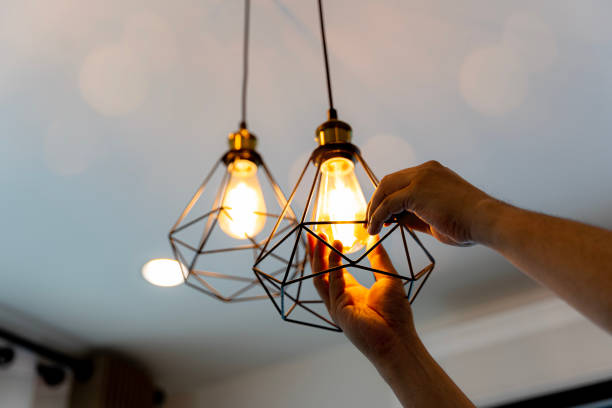 Best Electric Panel Repair  in Carpentersvle, IL