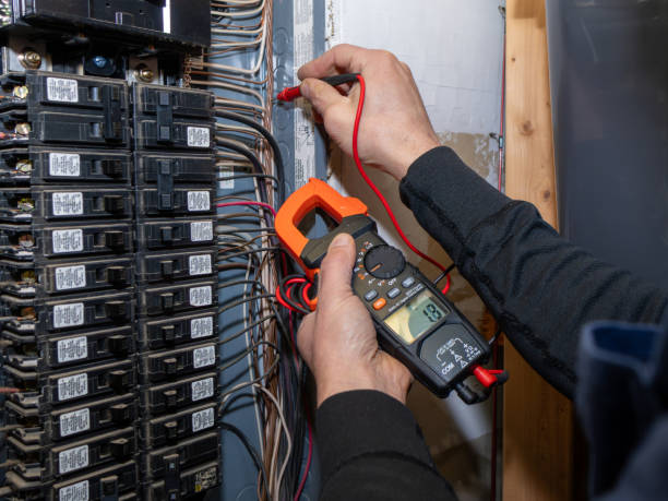 Best Electrician for Home Renovation  in Carpentersvle, IL